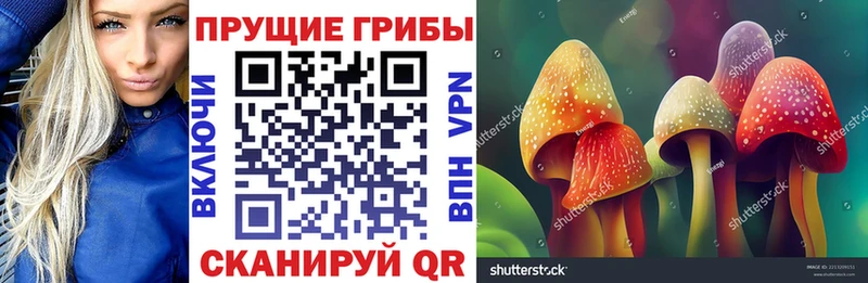 Галлюциногенные грибы Cubensis  Сосновоборск 